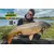 Бойлы Carptoday Baits Plum (Слива) 1кг, Диаметр: 20 мм, изображение 3