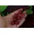 Бойлы Carptoday Baits Multi Fish (Мульти Фиш) 1кг, Диаметр: 20 мм, изображение 3