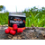 Дамбелсы насадочные Carptoday Baits Strawberry (Клубника), изображение 5