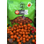 Бойлы Carptoday Baits Plum (Слива) 1кг, Диаметр: 20 мм, изображение 2
