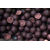 Бойлы Carptoday Baits Demon Spice (Острые Специи) 1кг, Диаметр: 20 мм, изображение 3