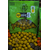 Бойлы Carptoday Baits Pineapple (Ананас) 1кг, Диаметр: 20 мм, изображение 3