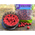 Бойлы Carptoday Baits Multi Fish (Мульти Фиш) 1кг, Диаметр: 24 мм, изображение 2
