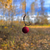 Бойлы Carptoday Baits Multi Fish (Мульти Фиш) 1кг, Диаметр: 24 мм, изображение 3