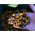 Зерновая смесь MIX №1 Carptoday Baits 1кг (Кукуруза, Конопля), изображение 2