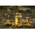 Дип Carptoday Baits Pineapple (Ананас) 100мл, изображение 2