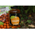 Ликвид Carptoday Baits Tangerine (Мандарин) 500мл, изображение 2