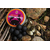 Бойлы насадочные Carptoday Baits Black Monster Crab+ (Черный Монстр Краб), Диаметр: 20 мм, изображение 2