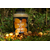 Ликвид Carptoday Baits Tiger Nut Shake — Тигровый Орех Шейк 500 мл, изображение 2