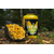 Ликвид Carptoday Baits Corn Shake — Кукурузный Шейк 500 мл, изображение 2