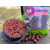 Бойлы Carptoday Baits Demon Spice (Острые Специи) 1кг, Диаметр: 20 мм, изображение 3 Бойлы Carptoday Baits Demon Spice (Острые Специи) 1кг, Диаметр: 20 мм, изображение 3