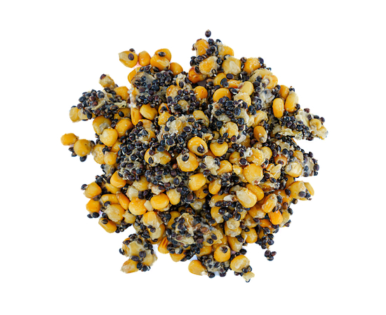 Зерновая смесь MIX №1 Carptoday Baits 1кг (Кукуруза, Конопля) с чесноком