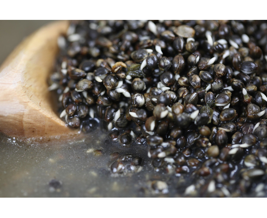 Конопля натуральная варёная Carptoday Baits 1кг, изображение 2