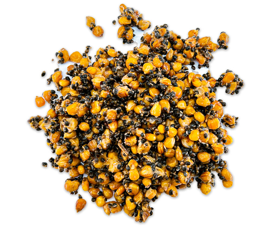 Зерновая смесь MIX №1 Carptoday Baits 1кг (Кукуруза, Конопля)