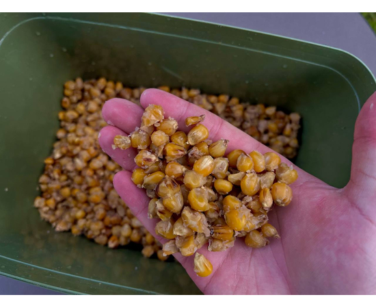 Кукуруза натуральная варёная Carptoday Baits 1кг, изображение 2