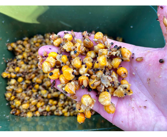 Зерновая смесь MIX №2 Carptoday Baits 1кг, изображение 2