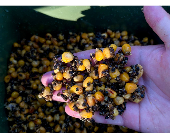 Зерновая смесь MIX №1 Carptoday Baits 1кг (Кукуруза, Конопля), изображение 2