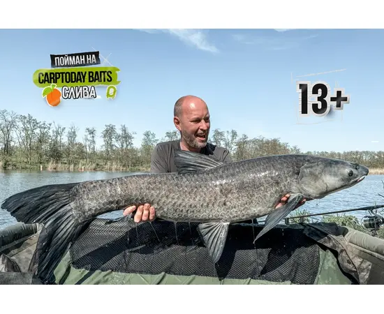 Бойлы Carptoday Baits Plum (Слива) 1кг, Диаметр: 14 мм, изображение 4