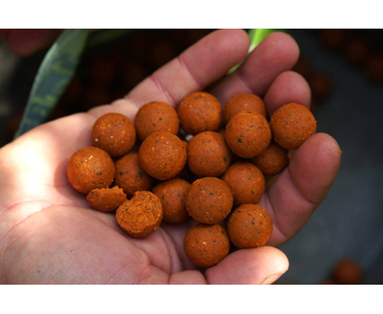 Бойлы Carptoday Baits Multi Fruit (Мульти Фрукт) 1кг, Диаметр: 20 мм, изображение 3
