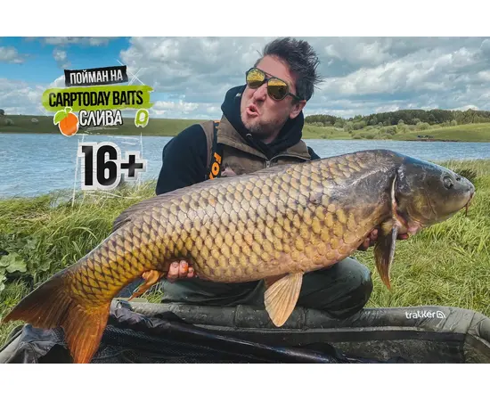 Бойлы Carptoday Baits Plum (Слива) 1кг, Диаметр: 24 мм, изображение 2