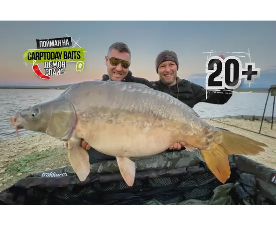 Бойлы Carptoday Baits Demon Spice (Острые Специи) 1кг, Диаметр: 24 мм, изображение 2