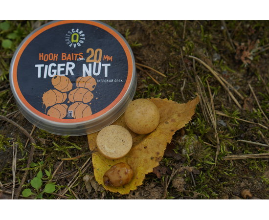 Бойлы насадочные Carptoday Baits Tiger Nut (Тигровый Орех), Диаметр: 20 мм, изображение 3