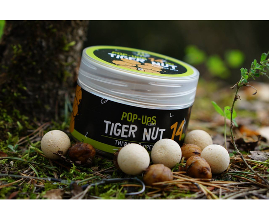 Бойлы плавающие Carptoday Baits Pop Ups Tiger Nut (Тигровый Орех), Диаметр: 14 мм, изображение 3