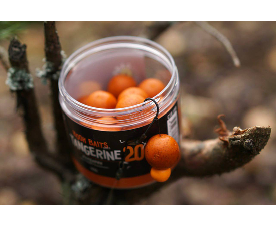 Бойлы насадочные Carptoday Baits Tangerine (Мандарин), Диаметр: 20 мм, изображение 2