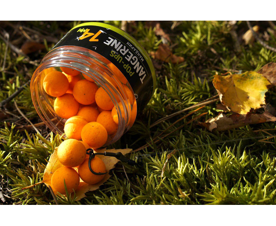 Бойлы плавающие Carptoday Baits Pop Ups Tangerine (Мандарин), Диаметр: 14 мм, изображение 3