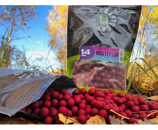 Бойлы Carptoday Baits Multi Fish (Мульти Фиш) 1кг, Диаметр: 14 мм, изображение 2