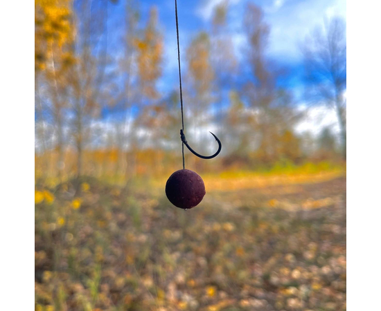 Бойлы Carptoday Baits Demon Spice (Острые Специи) 1кг, Диаметр: 20 мм, изображение 4 Бойлы Carptoday Baits Demon Spice (Острые Специи) 1кг, Диаметр: 20 мм, изображение 4